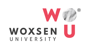 Woxsen University Hyderabad logo